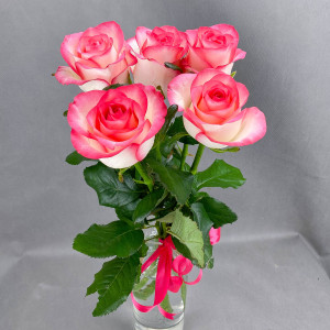 Букет из 5 розовых роз (60см)